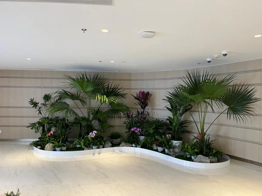 宁波江北植物租摆公司，打造独特绿植景观！